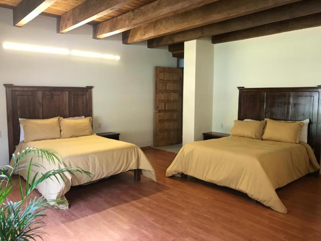 Cortijo La Casona & Bungalow Al Pie De La Montana Сан-Крістобаль-де-лас-Касас Екстер'єр фото